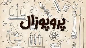 پروپوزال - چالش ها و فرصت های آموزش پیش دبستانی در مناطق دو زبانه